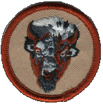 Embroidered 2 inch round Black Buffalo patch